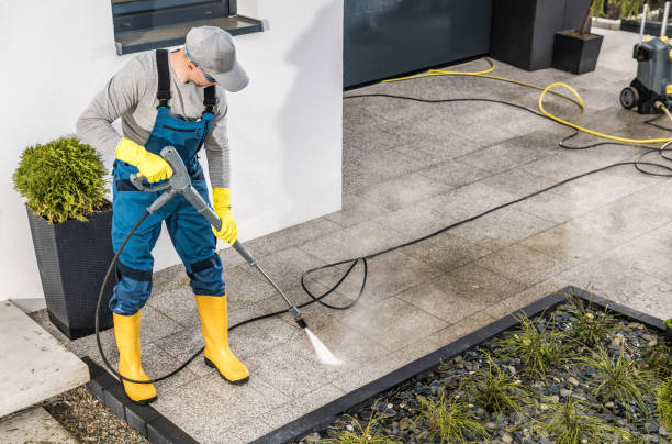 Best Best Pressure Washing Companies  in Molalla, OR