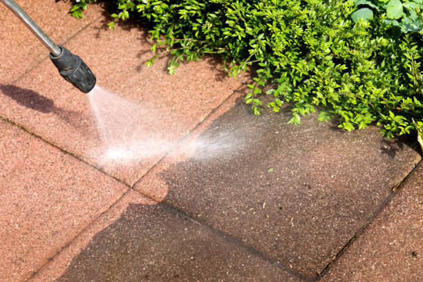 Best Concrete Pressure Washing  in Molalla, OR